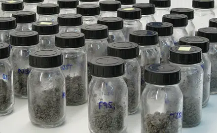 Tests écotoxicologiques pour la protection des sols